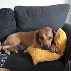 Meet your Posher, Steph